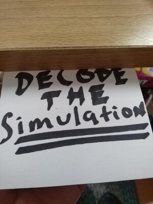 cover image of Decode the Simulation